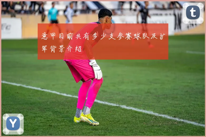 意甲目前共有多少支参赛球队及扩军背景介绍