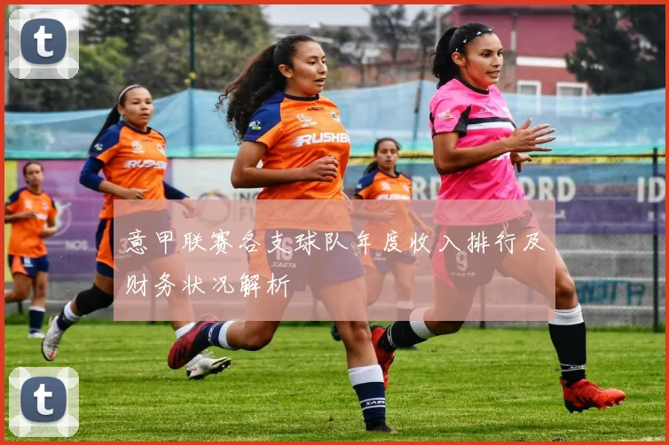 意甲联赛各支球队年度收入排行及财务状况解析