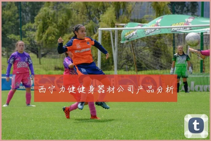 西宁力健健身器材公司产品分析