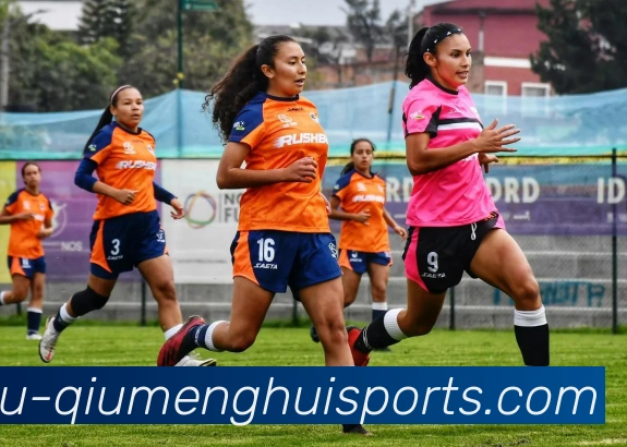 球盟会发展历程